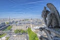 Notre dame paris cathedral statue sculpture and roof before fire Royalty Free Stock Photo