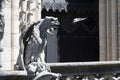 Notre dame paris cathedral statue sculpture and roof before fire Royalty Free Stock Photo