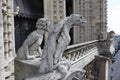 Notre Dame of Paris, famous of all Chimeras, overlooking the sky