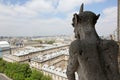 Notre Dame of Paris, famous of all Chimeras,