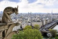 Notre Dame of Paris: Famous Chimera (demon) overlooking the Eiffel Tower at a spring day, France.