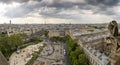 Notre Dame of Paris: Famous Chimera overlooking the Eiffel Tower at a spring day, France