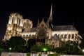 Notre dame paris night view Royalty Free Stock Photo