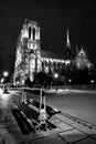 Notredam de pari Royalty Free Stock Photo