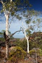 Nourlangie Rock, Kakadu