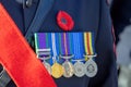 A close up to a member of the Canadian Armed Forces wearing a remembrace poppy