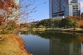 Nov 27 2023 the Kyu shibarikyu Japanese Garden, tokyo japan Royalty Free Stock Photo