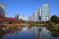 Nov 27 2023 the Kyu shibarikyu Japanese Garden, tokyo japan Royalty Free Stock Photo