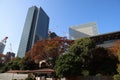 Nov 27 2023 a Kyushibarikyu Japanese Garden with office building Royalty Free Stock Photo