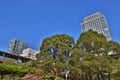 Nov 27 2023 a Kyushibarikyu Japanese Garden with office building Royalty Free Stock Photo