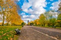 Nov, 2019- People walked and relaxed around the Kensington Gardens the Royal Parks, London.