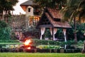 Lotus pond in tropical garden with coconut tree and pavilion in