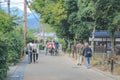 2 Nov 2013 Unidentified man with a rickshaw and tourists at Chikurin-no-michi Royalty Free Stock Photo