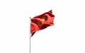 Nova Roma national flag on white background isolated