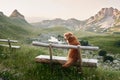 A Nova Scotia Duck Tolling Retriever dog perches on a bench, mountain expanse.