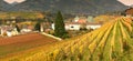 Novacella Monastery with vineyards during autumn season. Located in Varna, Bolzano, Trentino Alto-Adige, Italy