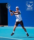 Novak Djokovic, professional tennis player Royalty Free Stock Photo
