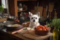 novel twist on traditional cooking show, with a dog in the starring role