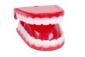Novelty Teeth Royalty Free Stock Photo