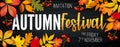 November autumn festival announcement, invitation banner with fallen leaves