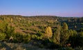 Luneburger Heath landscape, Germany Royalty Free Stock Photo