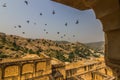 November 04, 2014: Birds flying around the Amber Fort in Jaipur, India Royalty Free Stock Photo