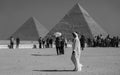 Camel and Great Pyramids of Giza, Cairo, Egypt