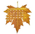 November 2020 calendar autumn leaf Royalty Free Stock Photo