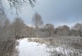 November in Central Russia. A first snow Royalty Free Stock Photo