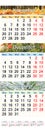 November December 2017 and January 2018 with colored pictures in form of calendar