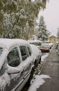 November, fisrt snow in Bavaria