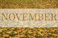 November greeting text on colorful fall leaves background. Word November with colorful leaves. Creative nature concept. Minimal Royalty Free Stock Photo