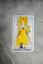 November 18, 2022 - Kyiv, Ukraine. Ryder`s Tarot - Waite. The Junior Arcana of the suit of Wands. QUEEN