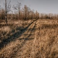 November landscape Royalty Free Stock Photo