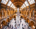 27 November 2017, London, England, National Historic Museum. Front view of a whale skeleton, part of the Whales Exhibition in The