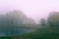 November morning landscape. Autumn foggy park with a lake. Royalty Free Stock Photo