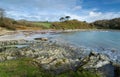 November Morning, Polridmouth Cove, Gribbin Head, Cornwall