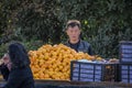 Mobile hawker selling oranges