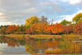 November Pond in the Heart of the Park