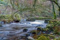 November stream in Skaigh Valley, Belstone, edge of Dartmoor National Park, England.