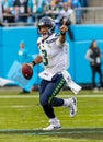 November 25 Seattle Seahawks Vs Carolina Panthers Royalty Free Stock Photo