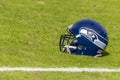 November 25 Seattle Seahawks Vs Carolina Panthers Royalty Free Stock Photo