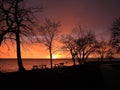 Sunset tree silhouettes at Long Point State Park on Cayuga Lake FingerLakes Royalty Free Stock Photo