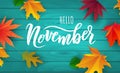 November text. Hand lettering typography with bright autumn leaves. Concept November advertising Royalty Free Stock Photo