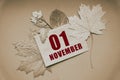 november 01. 01th day of month, calendar date.Envelope with the date and month, surrounded by autumn leaves on brown
