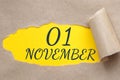 november 01. 01th day of the month, calendar date.Hole in paper with edges torn off. Yellow background is visible