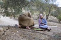 A young couple grading harvested olives from an ancient olive tree. Located in the Nazareth Village Open Air Museum in Israel