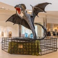 Exhibition of Dragons in the BIG shopping center in Novi Sad. Dragon Snake Herpetis.