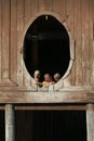 Novice monks in Shwe Yan Pyay monastery Royalty Free Stock Photo