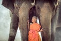 Novices are playing with two elephants.Thailand Royalty Free Stock Photo